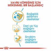 Royal Canin Yorkshire Terrier Puppy Yavru Köpek Maması 1,5 Kg thumbnail 3