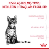 Royal Canin Kitten Sterilised Kısırlaştırılmış Yavru Kedi Maması 2 Kg thumbnail 3
