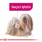 Royal Canin Ccn Mini Exigent Küçük Irk Yetişkin Köpek Maması 3 Kg - 3