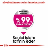 Royal Canin Ccn Mini Exigent Küçük Irk Yetişkin Köpek Maması 3 Kg - 2
