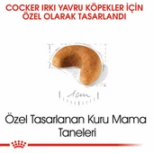 Royal Canin Cocker Spaniel Puppy Yavru Köpek Maması 3 Kg - 3