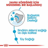 Royal Canin Mini Indoor Puppy Küçük Irk Yavru Köpek Maması 1,5 Kg thumbnail 3