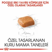 Royal Canin Poodle Puppy Yavru Köpek Maması 3 Kg thumbnail 3