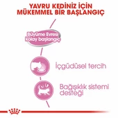 Royal Canin Mother Babycat Pate Yavru Kedi Konservesi 6 Adet 195 Gr thumbnail 3