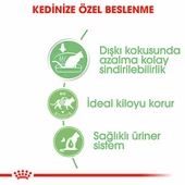 Royal Canin Digest Sensitive Gravy Pouch Yetişkin Kedi Konservesi 12 Adet 85 Gr thumbnail 2