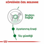 Royal Canin Mini Adult Pouch Yetişkin Köpek Konservesi 12 Adet 85 Gr thumbnail 3
