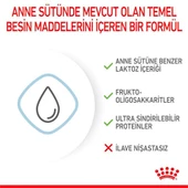 Royal Canin Babydog Milk Yavru Köpek Süt Tozu 400 Gr - 3
