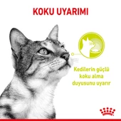 Royal Canin Sensory Smell Gravy Adult Yetişkin Kedi Konservesi 85 Gr thumbnail 3