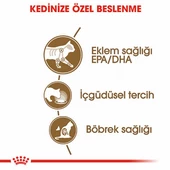 Royal Canin Ageing 12+ Gravy Pouch Yaşlı Kedi Konservesi 85 Gr thumbnail 3