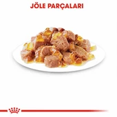 Royal Canin İntense Beauty Jelly Pouch Yetişkin Kedi Konservesi 12 Adet 85 Gr thumbnail 2