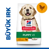 Hill’s SCIENCE PLAN Puppy Large Breed Chicken Büyük Irk Tavuklu Yavru Köpek Maması 2,5 Kg - 1