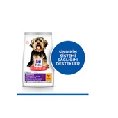 Hill’s SCIENCE PLAN Adult Small & Mini Sensitive Stomach & Skin Küçük Irk Tavuklu Yetişkin Köpek Maması 1,5 Kg - 2