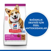 Hill’s SCIENCE PLAN Adult Small & Mini Lamb & Rice Küçük Irk Kuzulu Yetişkin Köpek Maması 1,5 Kg - 2