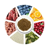 Pro Choice Perfect Start Kuzulu ve Pirinçli Yavru Köpek Maması 12 Kg thumbnail 3