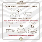 Doggie Boğma Zincir Krom Kaplama Eğitim Tasması 3,5x65 65 Cm - 3
