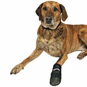 Trixie Neopren Köpek Patiği 2 Adet Siyah XXL - 1