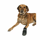Trixie Neopren Köpek Patiği 2 Adet Siyah Medium - 1