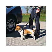 Trixie Köpek Emniyet Kemeri Medium 50-70 Cm - 2