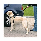Trixie Köpek Emniyet Kemeri Medium 50-70 Cm - 3