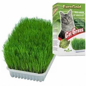 EuroGold Cat Grass Kedi Çimi - 1