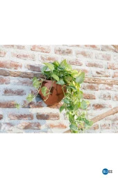 3,4 Litre Antrasit Yarım Duvar Dekoratif Balkon Saksısı Bahçe Duvarı Mat Plastik Saksı thumbnail 2