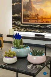 Aranjman Saksı 2 Litre Antrasit Menekşe Kaktüs Sukulent Saksısı Parlak Plastik thumbnail 2