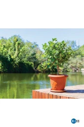 8 lt Damla Desenli Yeşil Renk Mat Plastik Orta Boy Yuvarlak Saksı Tabaklı thumbnail 1