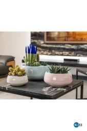 Elvan Aranjman Saksı 2 Litre Gök Mavi Menekşe Kaktüs Sukulent Saksısı Parlak Plastik thumbnail 4