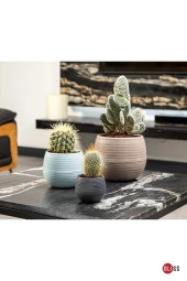 36' lı  Kaktüs Saksı No 0,13 Lt Minik Saksı thumbnail 4