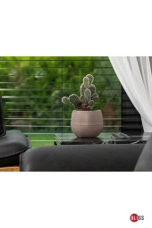 36' lı  Kaktüs Saksı No 0,13 Lt Minik Saksı thumbnail 5