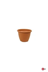 Dekoratif Kemer Saksı Salon Ve Bahçe Saksısı 2 Lt thumbnail 1