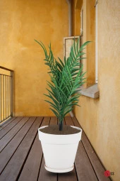 23 lt Kırık Beyaz Tabaklı Izgaralı Dekoratif Plastik Yalı Saksı thumbnail 3