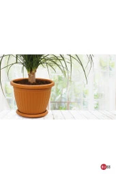 Dekoratif Kemer Saksı Salon Ve Bahçe Saksısı 2 Lt thumbnail 4