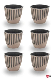 6 Adet 1,4 lt Plastik Dekoratif Mocha Renk Piyano Saksı thumbnail 1