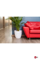 Papatya Saksı 22 lt Parlak Plastik Kendinden Tabaklı Drenajlı Çiçek Saksısı thumbnail 4