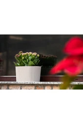 Serinova Sümela Balkon Saksı 4,7lt - 4