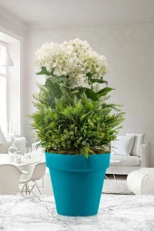 SERİNOVA Yalı Saksı 6lt YS004 thumbnail 5