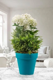 Serinova Yalı Saksı 3lt Ys003 - 3