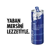 Red Bull Enerji İçeceği Yaban Mersini 250 Ml - 2