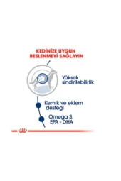 Royal Canin Maxi Adult Köpek Yaş Maması 140g - 4
