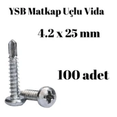 Yıldız Silindir Başlı 4.2x25 YSB Matkap Uçlu Akıllı Vida 100 Adet - 1