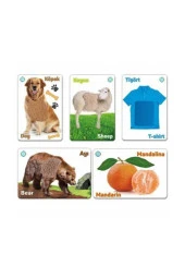 Çocuk Dokun Hisset Zeka Kartları - 2