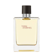 Hermes Terre D'Hermes EDT 100 ml Erkek Parfümü - 2