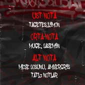 Impossıble Edp Erkek Parfüm 100 ML thumbnail 4