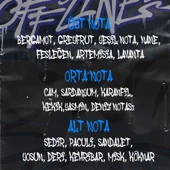 Offlıne Edp Erkek Parfüm 100 ML thumbnail 4