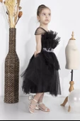Minimony 1-5 Yaş Wednesday Dress Parti Kostümü Black Swan Katlı Tül Detay Kız Bebek Çocuk Siyah Abiye Elbise 2020 thumbnail 2