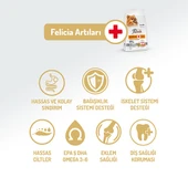 Felicia HypoAllergenic Small Mini Somonlu Küçük Irk Düşük Tahıllı Yetişkin Köpek Maması 6 Kg thumbnail 2