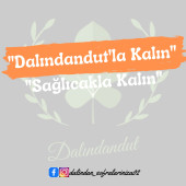 Dalındandut Yeni Mahsül Kavrulmuş Fındık Içi 500gr - 3