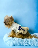 Navy Creamy Tütülü Köpek Elbisesi,  Kıyafeti Tutu - 6