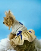 Navy Creamy Tütülü Köpek Elbisesi,  Kıyafeti Tutu - 1